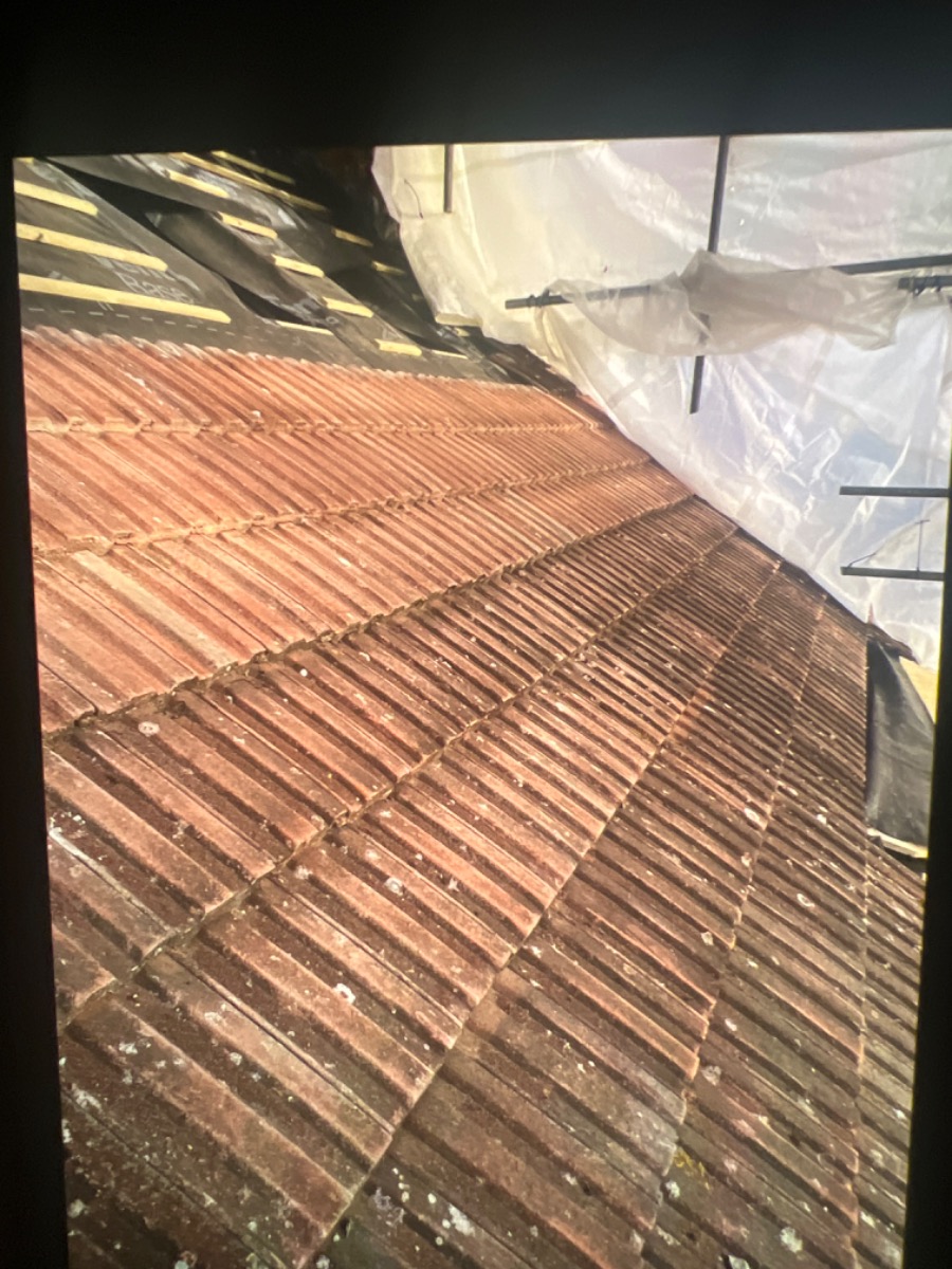 Roofer: Image 2